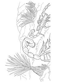 There should not be any difficulty as it is an one color job; Scorpion Coloring Pages Books 100 Free And Printable