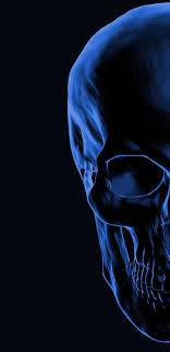 Check spelling or type a new query. Blue Skull Black Hd Mobile Wallpaper Peakpx