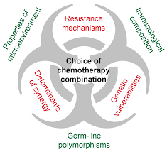 Karrierebeginn und irgendwas gegen die stille. Ijms Free Full Text Targeting Molecular Mechanisms Underlying Treatment Efficacy And Resistance In Osteosarcoma A Review Of Current And Future Strategies Html