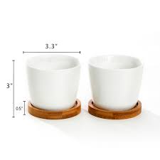 These white ceramic succulent pots consists of 7 small pots with 6 pots around the corners and 1 in the middle. 3 5 White Oval Ceramic Succulent Plant Pot Cactus Plant Pot With Bamboo Tray Set Of 2 Walmart Com Walmart Com
