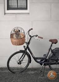 Pluto Basket From Basil If Only Polly Pops Was Small Enough Bike Basket Bicycle Basket Dog Bike Basket