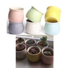 We did not find results for: Koala Superstore Ks Hom11117584011 Alan01221 Favorite Colors Small Ceramic Succulent Planter Plant Pot Flower Pot 1 Piece White