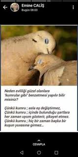 Kadriye Kisla Adli Kullanicinin Aklinizda Bulunsun Panosundaki Pin Egitim Eminem Aslan