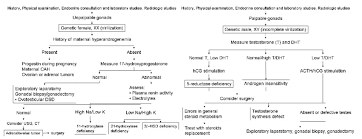 Image result for Sexual Development