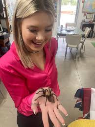 Come by the museum and face your fears and hold Jimmy the tarantula. He  likes the attention. Anabelle Cline is the museums expert arachnid handler.