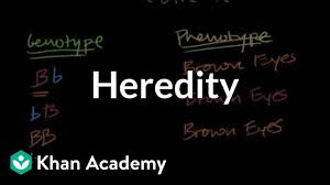 • 5,1 млн просмотров 7 лет назад. Introduction To Heredity Video Khan Academy