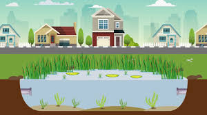 What is a retention pond, anyway? Stormwater Ponds Youtube