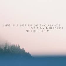 Life Is A Series Of Thousands Of Tiny Miracles Life Is A Series Of Thousands Of Tiny Miracles Notice Them Miracle Quotes Quotes About Everything Miracles Of Jesus