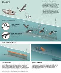Birds are easily confused by wire, so fishing line is a cheap and easy way to keep them away from your seedlings. These Simple Fixes Could Save Thousands Of Birds A Year From Fishing Boats Science Smithsonian Magazine
