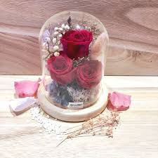 Kelsey Eternal Rose Preserved Flower Glass Dome How To Preserve Flowers Dried And Pressed Flowers Glass Domes