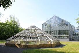 File Botanischer Garten Leipzig Victoria Gewachshaus Mangrovenhaus 2015 Jpg Wikimedia Commons