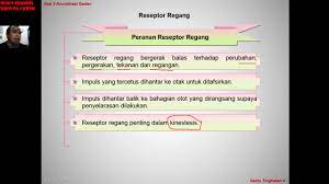Pajak adalah iyuran wajib yang dipungut oleh pemerintah dari masyarakat (wajib pajak). 004 Sains Tg 4 Bab 2 2 4 Peranan Reseptor Regang Dalam Mengekalkan Keseimbagan Koordinasi Youtube