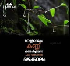 Maybe you would like to learn more about one of these? 100 Sharechat Ideas Malayalam Quotes Nostalgic Quote Easter Flower Arrangements