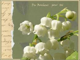 Des milliers d'images, des photographies et des dessins de fleur de haute qualité ! Muguet Tous Les Messages Sur Muguet De Bric Et De Broc