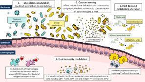 Though the mechanism has yet to be determined, it is believed that fmt works by repopulating the patient's microbiome with diverse microorganisms that competitively exclude c. Scientific Frontiers In Faecal Microbiota Transplantation Joint Document Of Asia Pacific Association Of Gastroenterology Apage And Asia Pacific Society For Digestive Endoscopy Apsde Gut