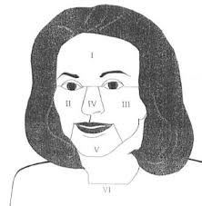 Six Locations in Global Acne Grading System (GAGS) 15