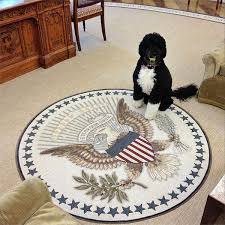 Stop trying to make fetch happen. White House Archived On Twitter Bo Stop Trying To Make Fetch Happen Http T Co Ez6hwgfpfc