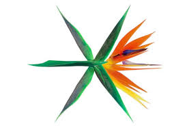 Image result for exo kokobop