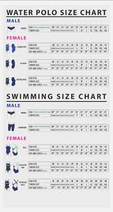 speedo swimwear size chart blog eryna