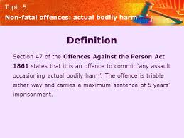 Topic 5 Non Fatal Offences Topic 5 Assault Non Fatal Offences Assault Ppt Download