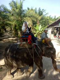 Percutian ke grand lexis, port dickson. Pakej Travel Bajet Pakej Hatyai Krabi Phuket 4d3n