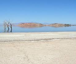 Red Island Is A Small Volcano In The Salton Sea Part Of The Spreading Segment Past The End Of The San Andre Salton Sea California San Andreas Fault Salton Sea