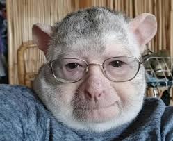 Late summer // early fall dump. New IG crop is unhinged. Nico's Instagram  is officially deeeeeaaaaddd