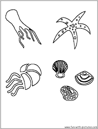 Click the download button to view the full image of prehistoric sea creature coloring pages printable, and download it for your computer. Sealife Coloring Page