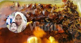 Bekas air masak pun nak dihurungnya. Petua Berkesan Jimat Kos Perangkap Anak Lipas