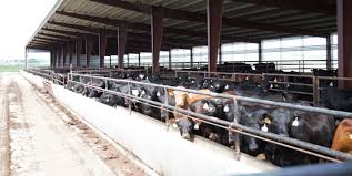 Free delivery info on website. Custom Cattle Feeders
