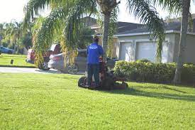 You can rely on us to take care of your landscape so that you can focus on the things that are important to you. Top Notch Lawn Care Top Notch Lawn Care