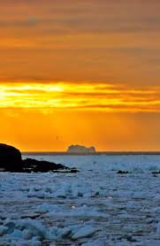 Tours, St.John's, Newfoundland, Labrador, Canada, North America