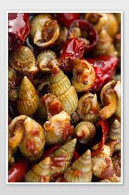 supper seafood sea screws snacks food stall dishes photo jpg free download pikbest fruit photography food dishes
