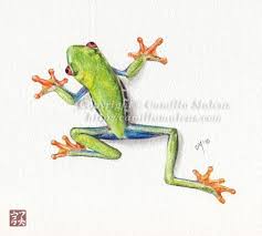 Frog Sketch By Camillamalcus Frog Sketch Frog Drawing Frog Tattoos