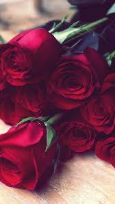 It S Time To Get Inspired Beautiful Rose Flowers Beautiful Roses Red Roses Wallpaper
