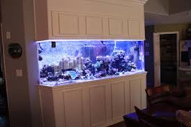 The full wellness center has a plunge pool, current pool, sauna, and gym, real notes. Large Build 300 Gallon Plywood Cube Reef2reef Saltwater And Reef Aquarium Forum