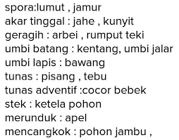 Maybe you would like to learn more about one of these? Sebutkan 5 Nama Tumbuhan Cara Berkembang Biak Dan Keterangannya Brainly Co Id