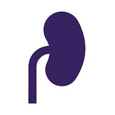 Managing diabetes doesn't mean you need to sacrifice enjoying foods you crave. Renal Friendly Moms Meals