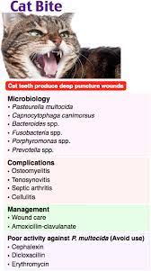 Rosh Review Medical Laboratory Science Medical Mnemonics Nursing Study Tips