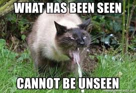 What Has Been Seen Cannot Be Unseen Cat Throwing Up Meme Generator