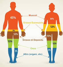La dieta ipercalorica è un'alimentazione sana che serve per aumentare di peso o per aumentare massa muscolare, adatta a uomo o donna, menu settimanale. Massa Magra Cos E Calcolo Uomo Donna E Come Aumentarla