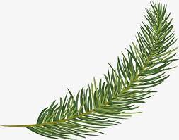 Small Fresh Green Pine Pine Leaf Green Flower Painting