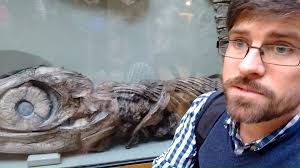 Sam Scriven with Mary Anning's first ichthyosaur