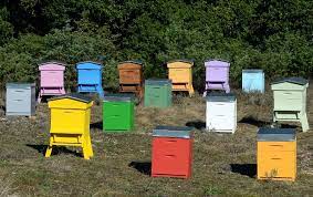peindre ses ruches la peinture ecologique ideale pour les ruches le blog de luberon apiculture ruche ruche abeille peinture ecologique