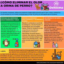 Como Eliminar El Olor De Orina De Perro Olores De Orina Orina De Perro Olores De Mascotas