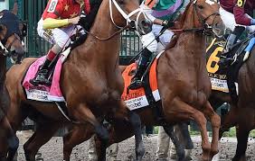Image result for kentucky Derby