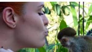 International Primate Rescue