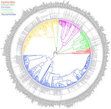I have not got any info about vladmodel's first models and sets , do you know any model name or set number ? A Complete Time Calibrated Multi Gene Phylogeny Of The European Butterflies