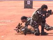 Amit Shah Baster Speech Update; CRPF 84th Foundation Day ...