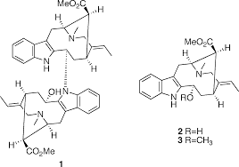 Image result for Hunteria zeylanica